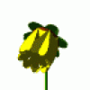 Animations - 492